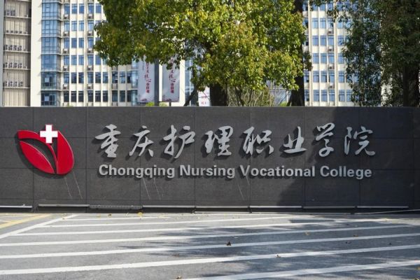 学校智能化系统，科技赋能教育，打造高效智能校园新生态(图13)
