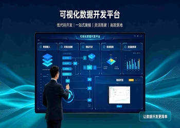 可视化数据开发平台：低代码智能开发，高效落地数据治理与分析