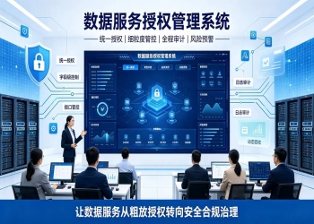 数据服务授权管理系统：数据安全管控平台